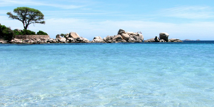 Corsica