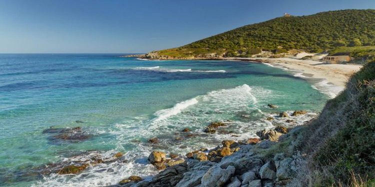 Calvi