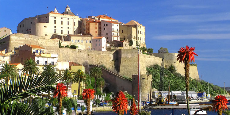 Calvi