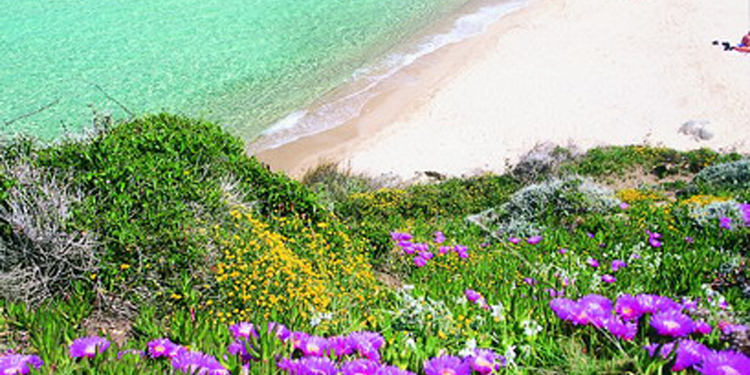 Santa Teresa Gallura