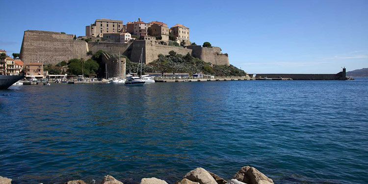 Calvi