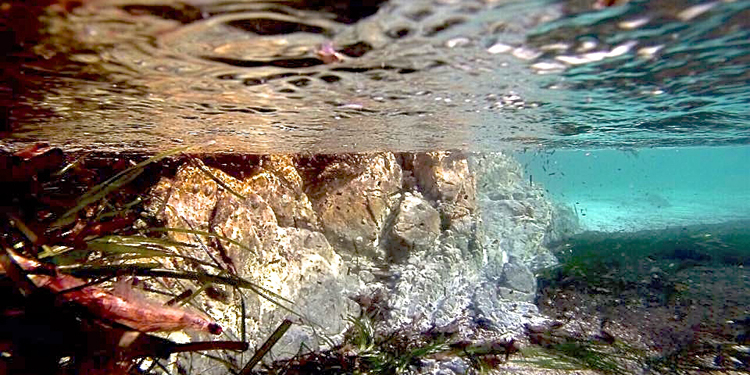 Golfo di Marinella