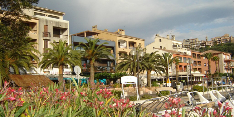 Image LES PRINCES DU GOLFE