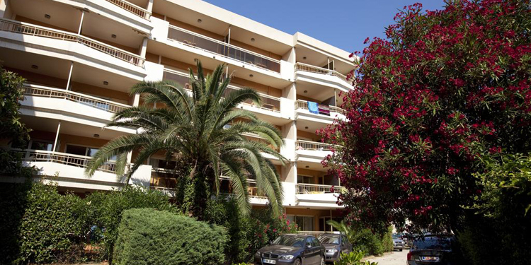 Image LES PLATANES